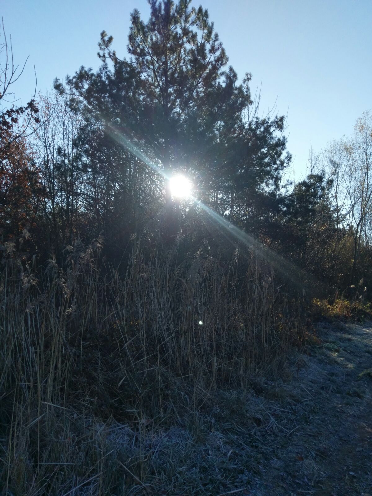 Die Sonne kam gegen Mittag heraus